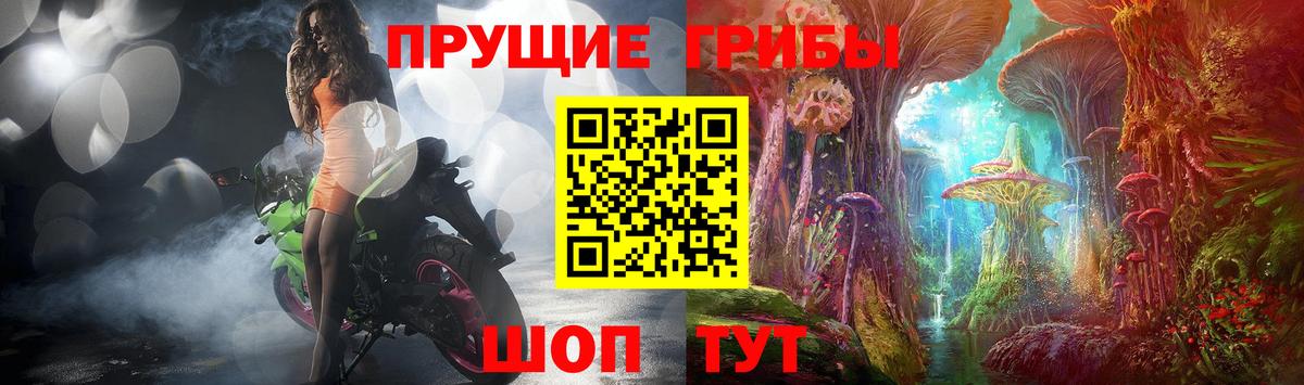 Псилоцибиновые грибы Cubensis  Вход с VPN  Саяногорск 