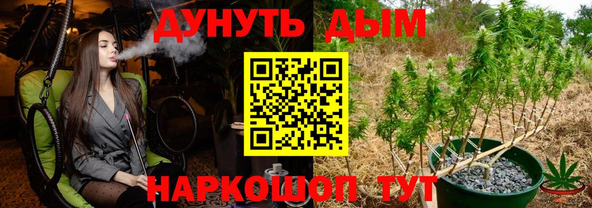 Каннабис сатива Саяногорск